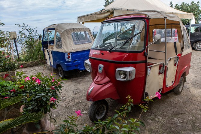 Sorrento Farm by Tuk Tuk: Cheese, Limoncello & Hands-On Pizza - Price and value: what $211 buys you in the real world