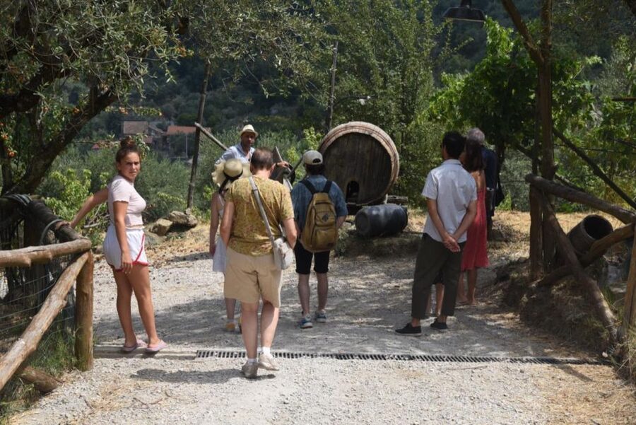 Sorrento Farm Experience: Pizza, Cheese, Wine & More - Key things that make this Sorrento farm experience worth it