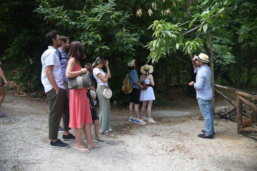 Sorrento: Farm Tour with Cheese Tasting & Pizza Making Class - Who Should Book This Sorrento Farm Tour (and Who Might Skip It)