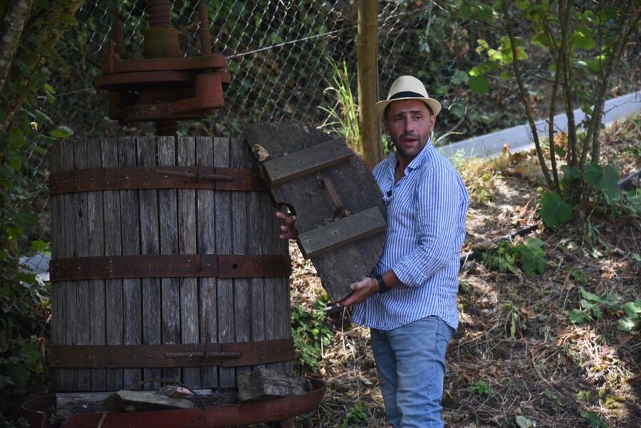 Sorrento: Farm Tour with Cheese Tasting & Pizza Making Class - Lunch at the Farmhouse: Build-and-Bake Food, Seasonal Courses, and Drinks Included