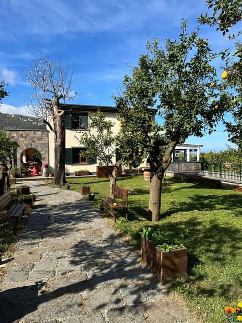Sorrento: Mozzarella experience. Say CHEESE with us! - Price and Value: Is $100 Fair for Two Hours?