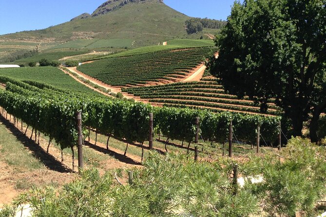 Stellenbosch Franschhoek Full-Day Tour with Cheese Tasting - Hotel pickup, a short start, and why the route feels manageable