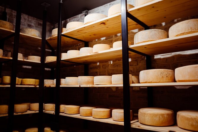 Swiss Cheese Tasting Experience | Basel - Gruyère AOP and the Local Stuff: Why the Mix Is Smart