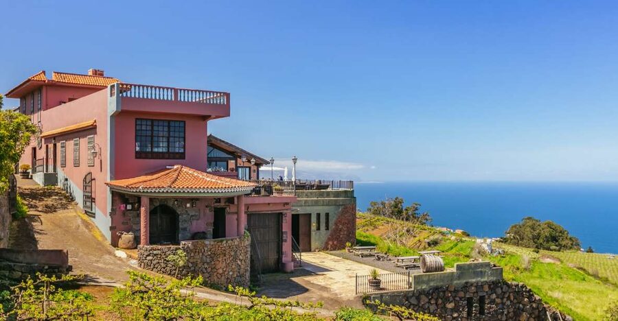 Tacoronte: Guided Winery Tour with Wine and Cheese Tastings - Key takeaways before you go