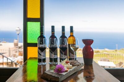 Tacoronte: Guided Winery Tour with Wine and Cheese Tastings - The 2-hour flow: history first, then your four-pour tasting