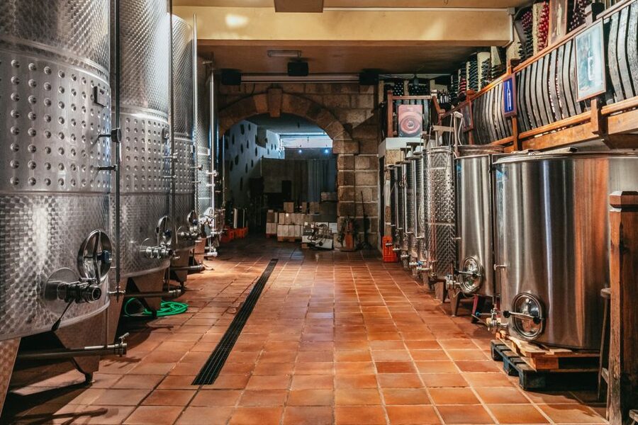 Tacoronte: Guided Winery Tour with Wine and Cheese Tastings - Cheese lineup: artisan goat styles across the Canary Islands