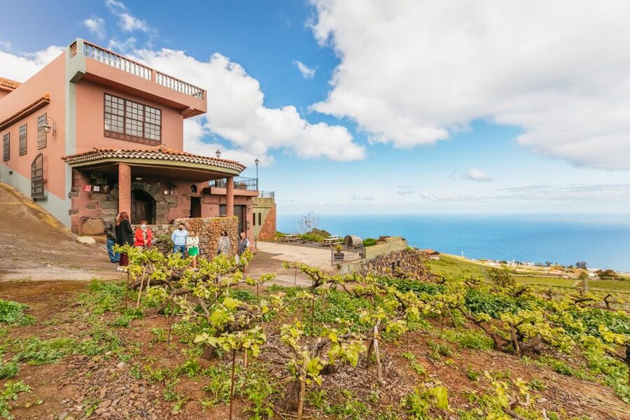 Tacoronte: Guided Winery Tour with Wine and Cheese Tastings - The real-world pacing: views, photos, and how to avoid disappointment