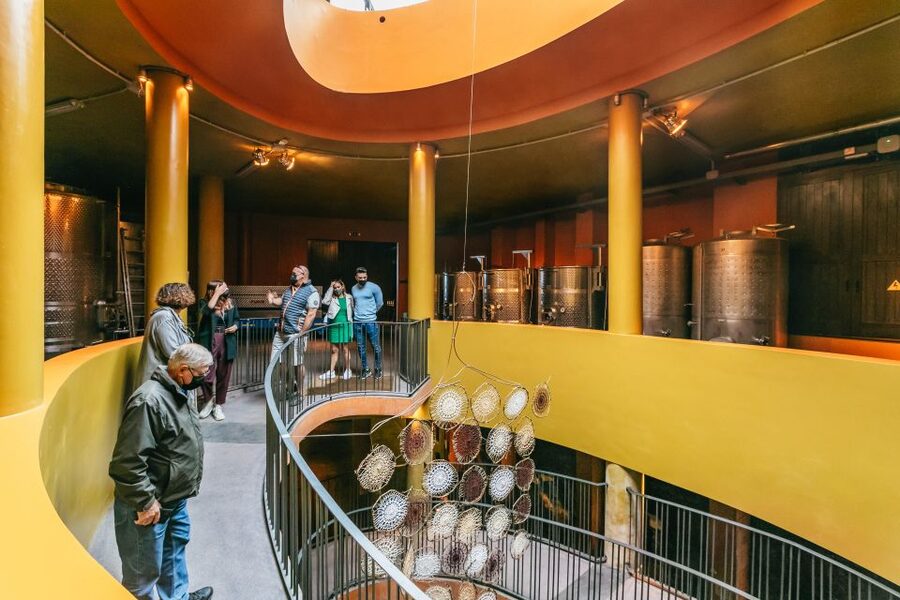 Tacoronte: Guided Winery Tour with Wine and Cheese Tastings - Price and value at $41: where the money actually goes