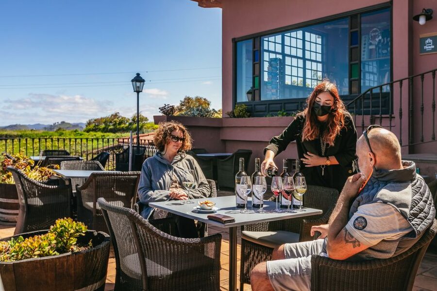 Tacoronte: Guided Winery Tour with Wine and Cheese Tastings - Who this tour is best for (and who should rethink it)