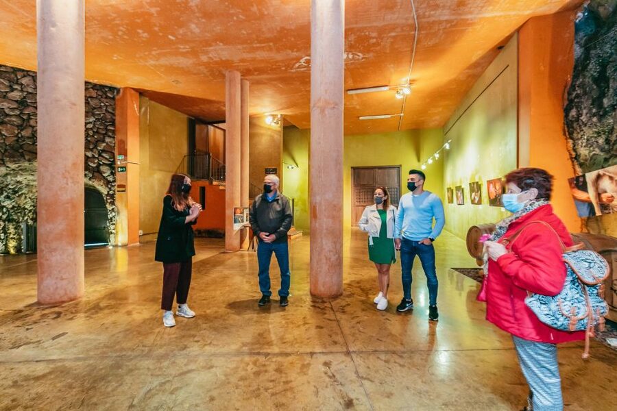 Tacoronte: Guided Winery Tour with Wine and Cheese Tastings - Book this or skip it? A quick decision guide
