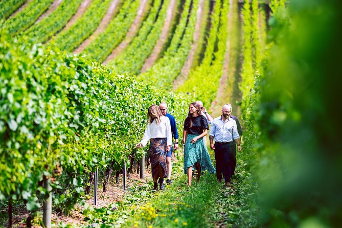 Tasmanian Premium Wine Tour with Tasmanian Cheese Platter - Key highlights to know before you go