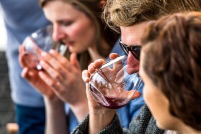 Tasmanian Premium Wine Tour with Tasmanian Cheese Platter - Inside the Wineries: Vineyard Tours, Tastings, Barrel Rooms