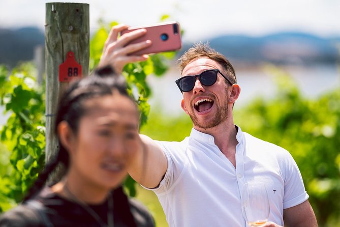 Tasmanian Premium Wine Tour with Tasmanian Cheese Platter - Tasmanian Cheese Platter: A Break That Works