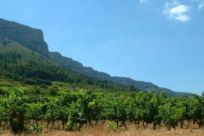 tasting workshop of 6 to 8 wines with charcuterie chocolate cheese - The Heart of the Experience: Jean-Claude’s Natural Wine Tasting