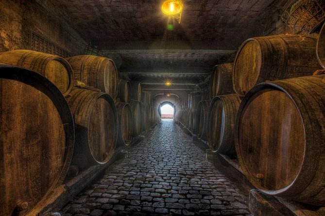 Tenerife Bodegas Monje Winery Tour with Wine and Cheese Tasting - Your 90-minute plan: four Canarian wines matched with four cheeses