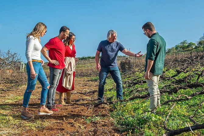 Tenerife Bodegas Monje Winery Tour with Wine and Cheese Tasting - What the winery tour shows you (and what to expect about the facility)