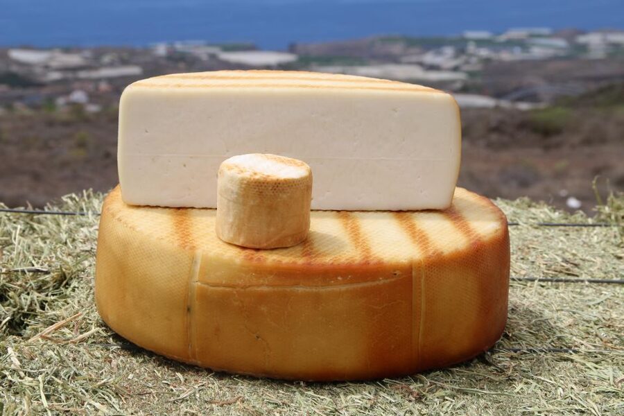 Tenerife - Farm Tour with Cheese Tasting - Animal Time to Cheese Time: The Flow of the Experience