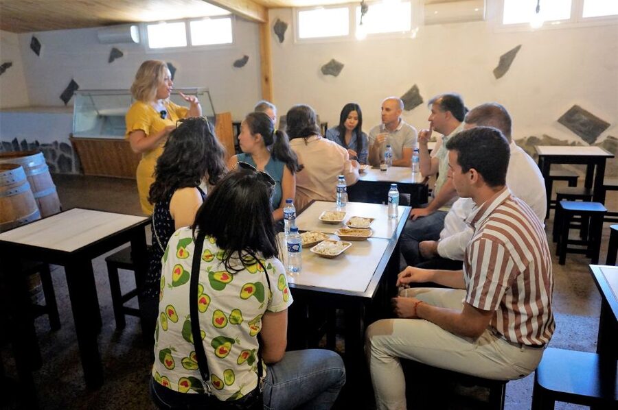 Tenerife - Farm Tour with Cheese Tasting - The Cheese Tasting: What You Actually Eat and Taste