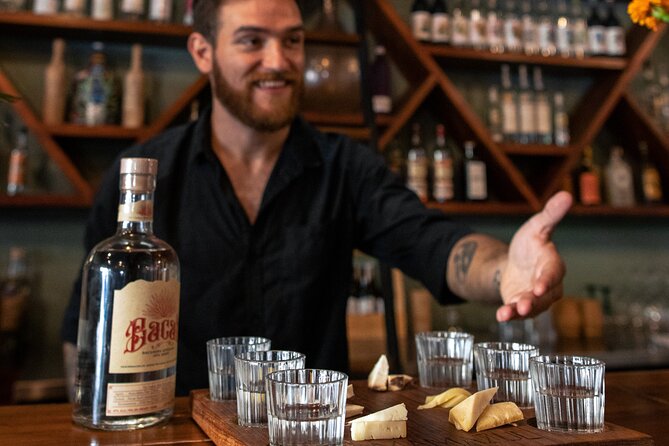 Tequila and Mezcal Tasting in Tulum with Cheese Pairing - Tequila vs mezcal: the differences you can actually taste
