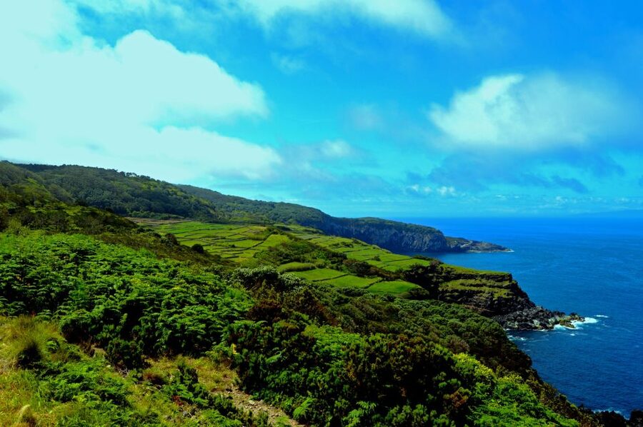 Terceira: Half-Day Island Tour with Cheese Tasting - The pacing: a tight 4 hours with hotel pickup that keeps it easy