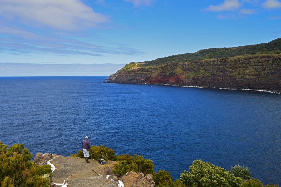 Terceira: Half-Day Island Tour with Cheese Tasting - Price and value: is $58 worth it for 4 hours?