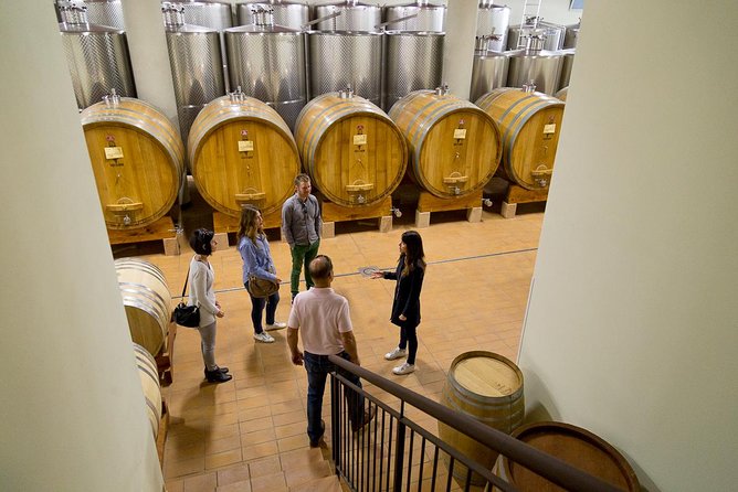 The Valpolicella food & wine driving tour: cheese factory+ winery - Who the guides are (and why it helps)