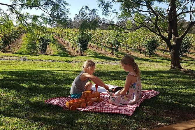 Tintilla Estate: Wine Tasting with a Meat and Cheese Platter - Who This Is Best For
