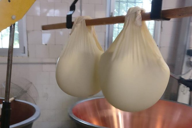 Tour Parmigiano Reggiano dairy and Parma ham - Prosciutto di Parma Stop in the Hills: The Smell of Curing and the Rooms Where It Happens