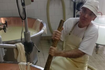 Tour Parmigiano Reggiano dairy and Parma ham - Parmigiano Reggiano Stop: From Milk Vats to Aged Cheese on Purpose