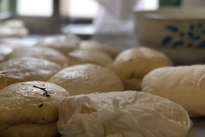 Troodos Mountains Halloumi Making: All Inclusive Workshop & Tour - Getting From Ayia Napa to Troodos: pickup that keeps your day easy