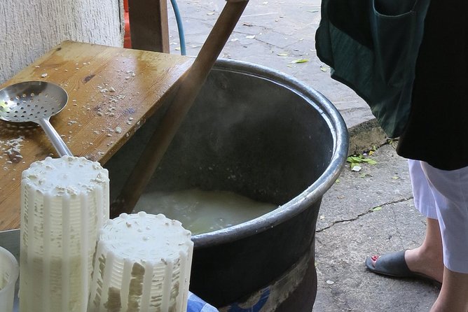 Troodos Mountains Halloumi Making: All Inclusive Workshop & Tour - Golden Donkeys Farm: donkey milk products and a surprising tasting angle