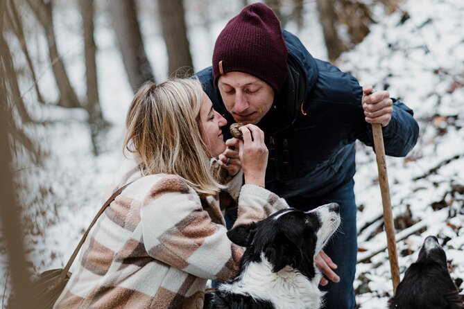 Truffle Hunting and Cheese, Truffle & Wine Tasting near Alba - Key takeaways before you go