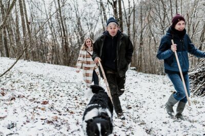 Truffle Hunting and Cheese, Truffle & Wine Tasting near Alba - Truffle hunting with dogs: what the walk feels like