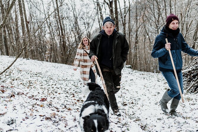 Truffle Hunting and Cheese, Truffle & Wine Tasting near Alba - Truffle hunting with dogs: what the walk feels like