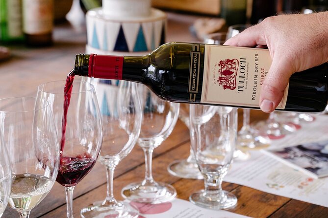 Tulloch Wines Hunter Heroes Wine Tasting with Local Cheese & Charcuterie Board - Keeping Kids Busy with Soft Drinks and Kombucha Tastings