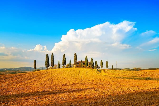 Tuscany Private Tour with Wine and Cheese Tasting from Florence - Key highlights worth planning around