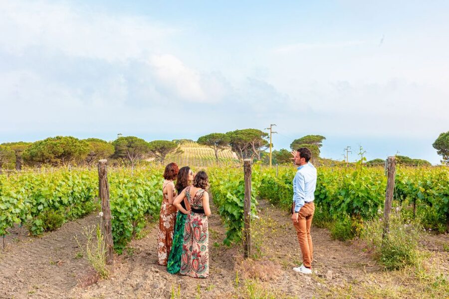 Tuscany: Ripalte Design Winery Wine and Cheese Tasting Tour - A 1000-Acre Private Estate and the Toscana Wine Architecture Circuit