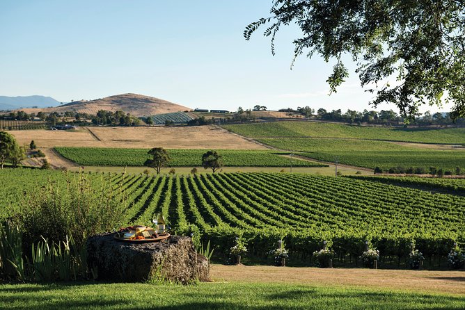Ultimate Yarra Valley Chandon, Soumah & De Bortoli Cheese & Wine - Chandon Guided Sparkling Tasting: Turning Bubbles Into a Skill