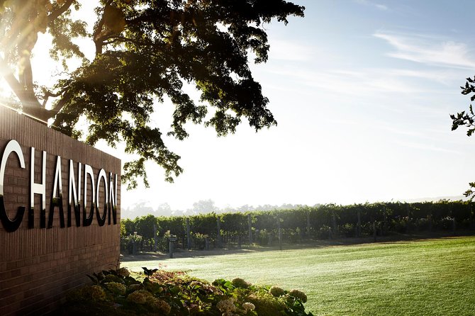 Ultimate Yarra Valley Chandon, Soumah & De Bortoli Cheese & Wine - Kangaroos and a Sweet Detour: The Fun Extras That Make the Day Feel Bigger