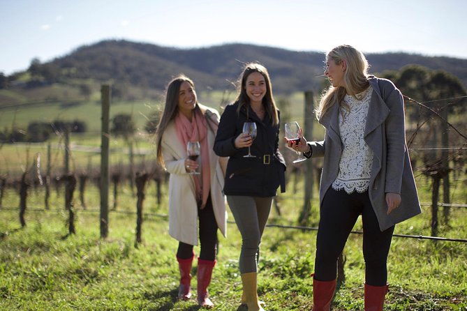 Ultimate Yarra Valley Chandon, Soumah & De Bortoli Cheese & Wine - Group Size, Guides, and Pacing: What Small-Group Really Feels Like