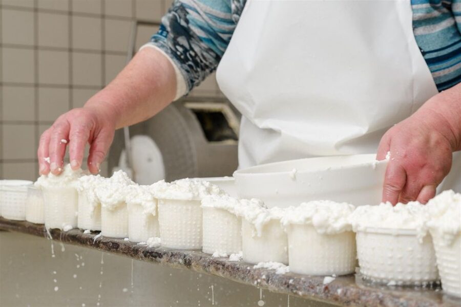 Vico Equense: Tour in the dairy "Mozzarella Experience" - From Piazza San Salvatore to the Dairy in the Lattari Mountains