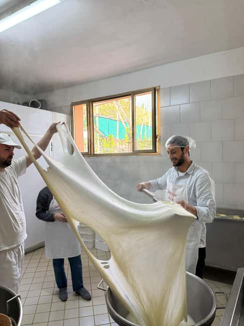 Vico Equense: Tour in the dairy "Mozzarella Experience" - How long it lasts and what to plan for in rain or sun