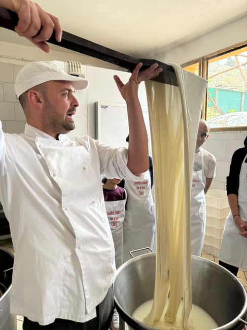 Vico Equense: Tour in the dairy "Mozzarella Experience" - FAQ