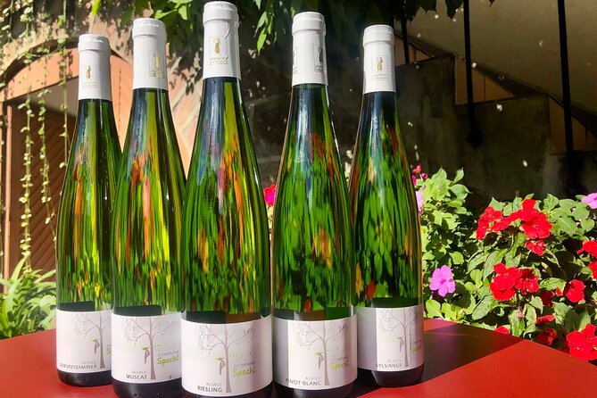 Visit and tasting of wines and cheese and charcuterie platter - Price and value: $36.12 for wine, food, and a guided cellar walk