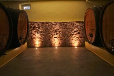 Visit and tasting of wines and cheese and charcuterie platter - What you might taste: Alsace whites plus a Pinot Noir