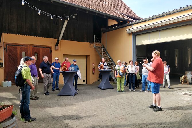 Visit and tasting of wines and cheese and charcuterie platter - Who should book this wine-and-cheese stop