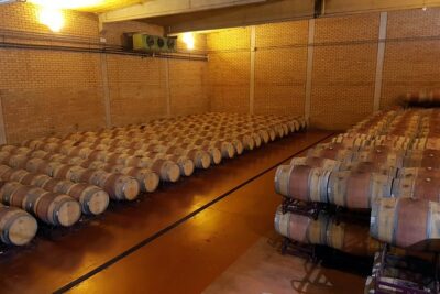 Visit and wine tasting with sausage and BODEGA PIRINEOS cheese - The commented tasting: rosé, white, and two reds paired with cheese and sausage