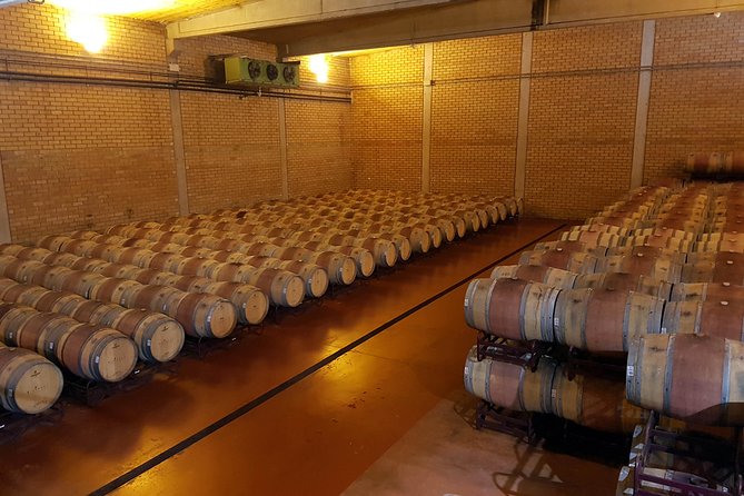 Visit and wine tasting with sausage and BODEGA PIRINEOS cheese - The commented tasting: rosé, white, and two reds paired with cheese and sausage