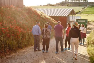 Visit La Antigua Cheese Factory (Cheese Tourism) - The Guides Make the Difference: Estefanía, Elena, and Fernando