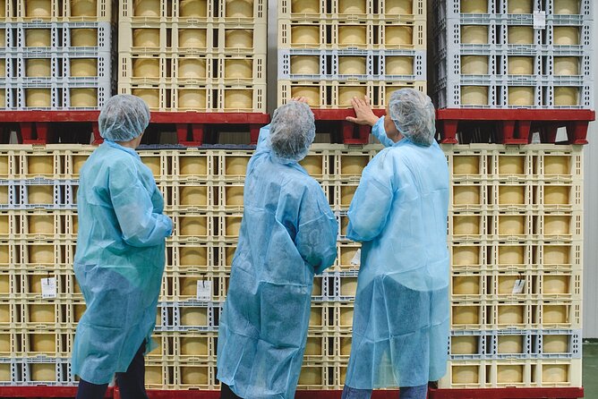 Visit La Antigua Cheese Factory (Cheese Tourism) - Family-Friendly, Cheese-Lover Serious, and Not Just a One-Time Thing